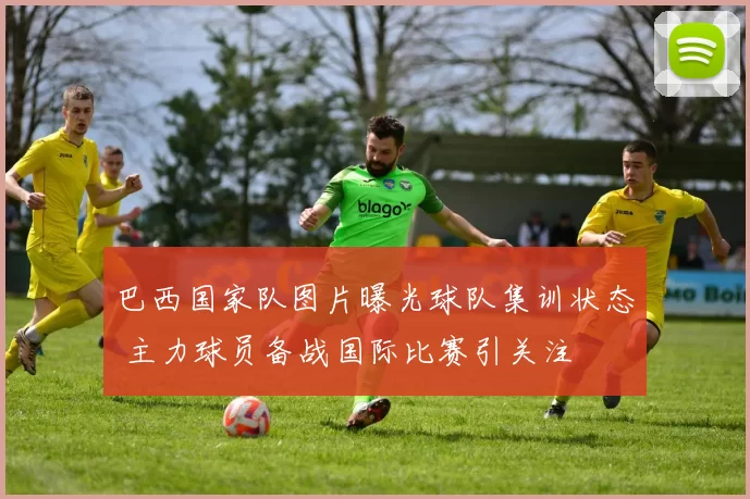 巴西国家队图片曝光球队集训状态 主力球员备战国际比赛引关注