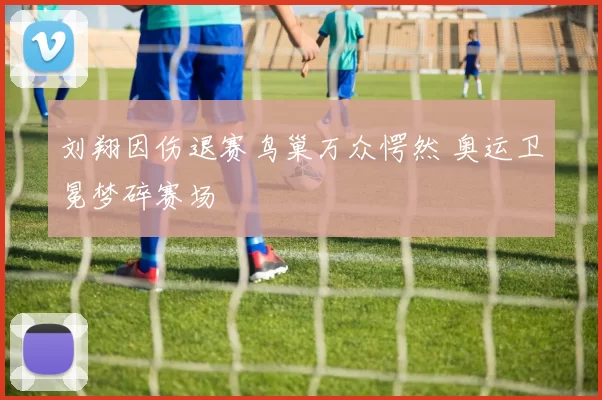 刘翔因伤退赛鸟巢万众愕然 奥运卫冕梦碎赛场