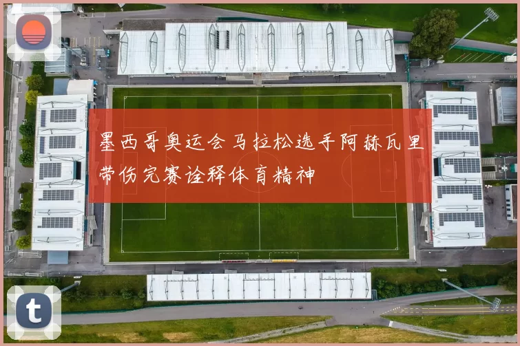 墨西哥奥运会马拉松选手阿赫瓦里带伤完赛诠释体育精神