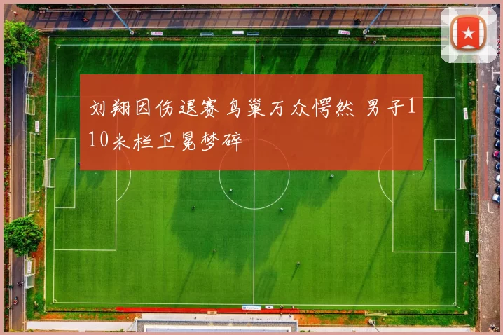 刘翔因伤退赛鸟巢万众愕然 男子110米栏卫冕梦碎