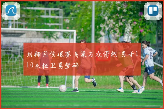 刘翔因伤退赛鸟巢万众愕然 男子110米栏卫冕梦碎